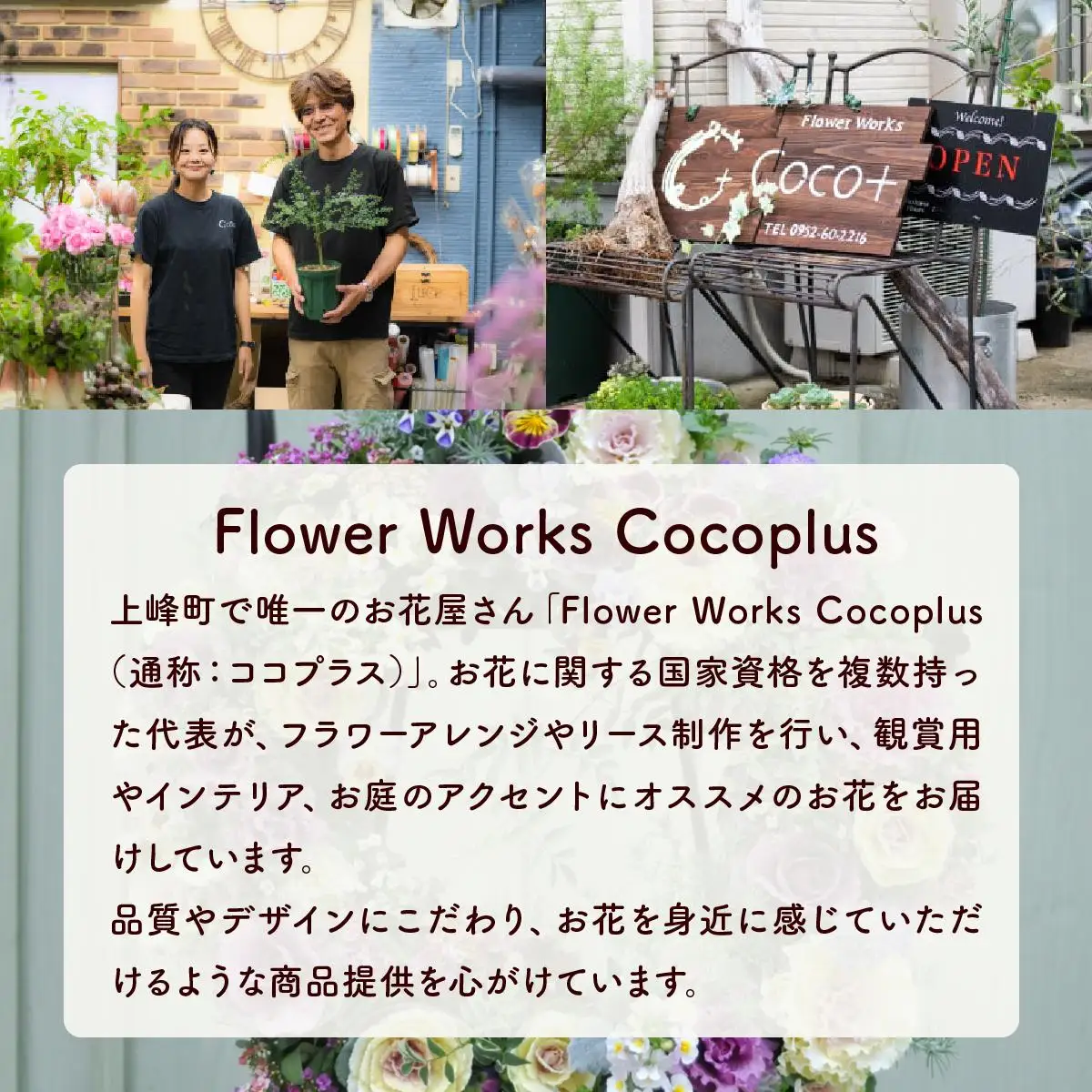 通常便 1回 15~20株!! 季節の寄せ植え 「ブリコラージュフラワー」D-528