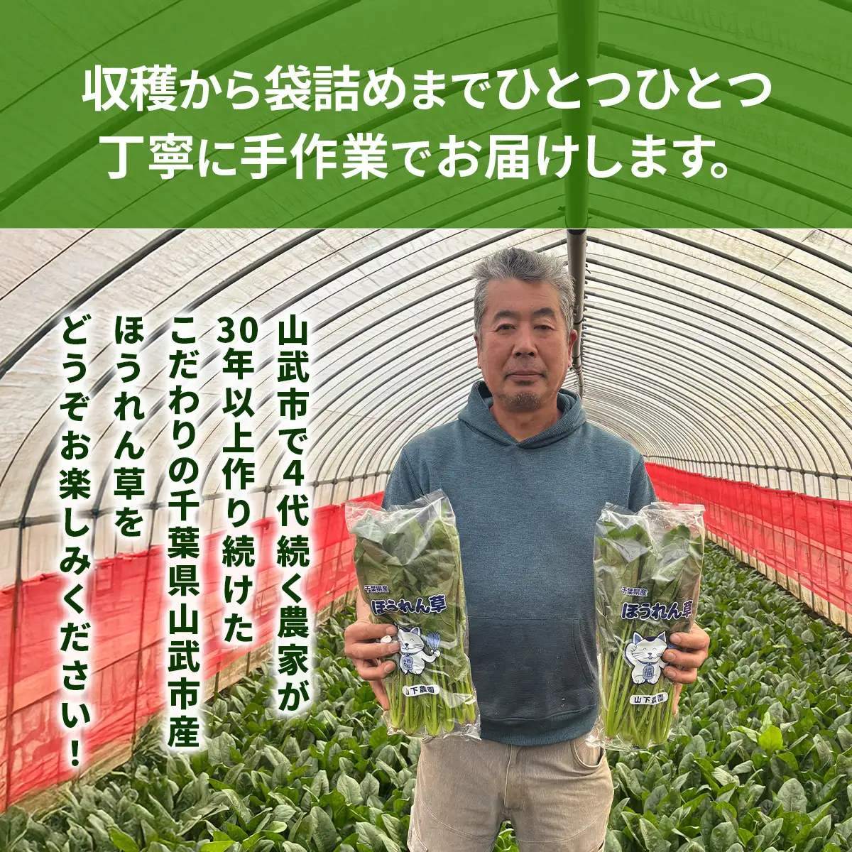 ほうれん草！どっさり 5kg 【栽培30年以上の山下さんの新鮮採れたてほうれん草】　SMCX001 