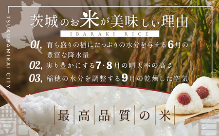 最短翌日出荷!! 茨城県産 ミルキークイーン 5kg