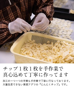久留米産 乾燥にんにくちっぷ＆パウダー_久留米産 乾燥 にんにくちっぷ にんにくパウダー 各 35g × 5袋 にんにく 栽培 加工 自社生産 こだわり チップ パウダー 粉末 ステーキ パスタ トッピング 唐揚げ チャーハン 調味料 食品 食べ物 グルメ お取り寄せ 福岡県 久留米市 送料無料 〔Ca103〕