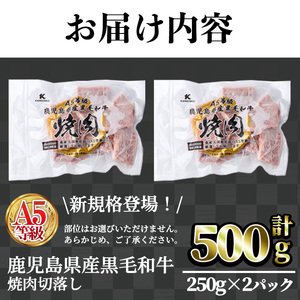A5 等級 鹿児島県産 黒毛和牛 焼肉 切落し (計500g・250g×2パック) 切り落とし 焼肉 黒毛和牛【LRプラスK】A1004