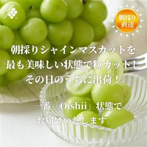 【2027年発送 先行受付】 シャインマスカット 粒 約2.8kg 訳あり ぶどう 粒カット【配送不可地域：離島・沖縄県】【1687784】