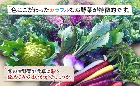 野菜セット 旬の野菜 ブルーベリー酢付 詰め合わせ 野菜セット【6品】