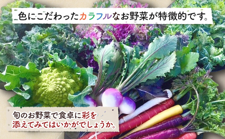 野菜セット 旬の野菜 落花生 詰め合わせ 野菜セット【6品】