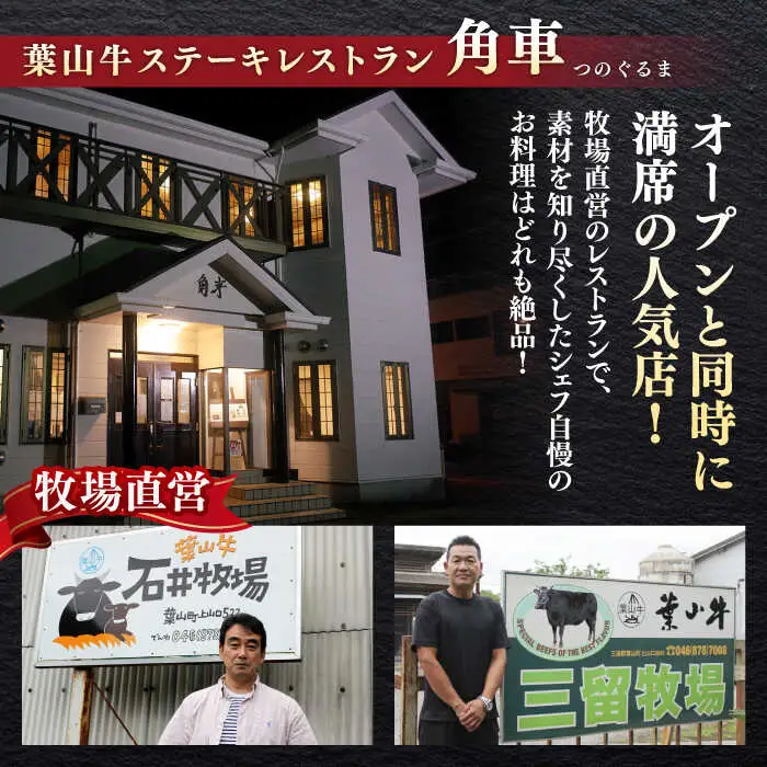 【全6回定期便】【葉山牛】1.2kg　スライス盛合せ ／ 牛肉 黒毛和牛 神奈川県 特産品【葉山牛ステーキレストラン 角車】[ASBD048]