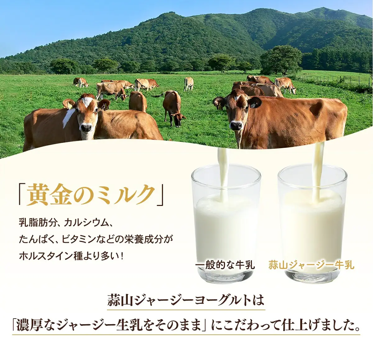 ヨーグルト 蒜山ジャージーヨーグルト10個 スイーツ 【hiru024-01】