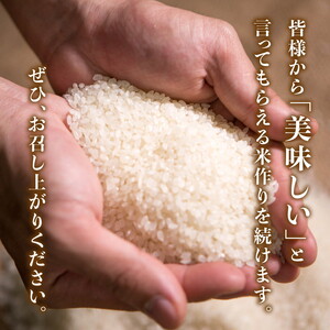【2ヵ月定期便】【令和8年産新米】コシヒカリ 計10㎏（5kg×2回） ｜ ご飯 白米 お米 5kg 10kg 精米済み 先行予約 ※2026年10月下旬～12月下旬頃に順次発送予定 ※離島への配送不可