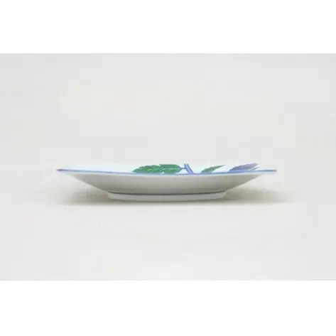 有田焼 染錦小蕃茄文（大）【源右衛門窯】 食器 器 うつわ パスタ皿 カレー皿 皿 大皿 手描き | 90000円以内 9万円以内 | ad096