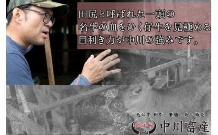 令和4年度 全国肉用牛枝肉共励会 最優秀賞受賞 中川畜産の近江牛しゃぶしゃぶ用MIX 800g （株）髙島屋洛西店 滋賀県 東近江市 D18 牛肉 A5 霜降り 和牛 高級