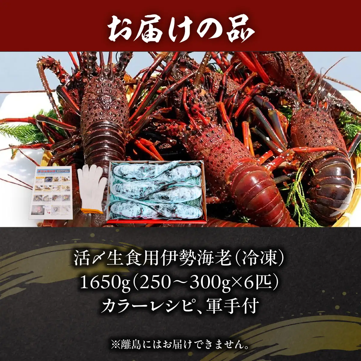 活〆生食用伊勢海老（冷凍）1650g（250～300g)×6匹  ONJB035