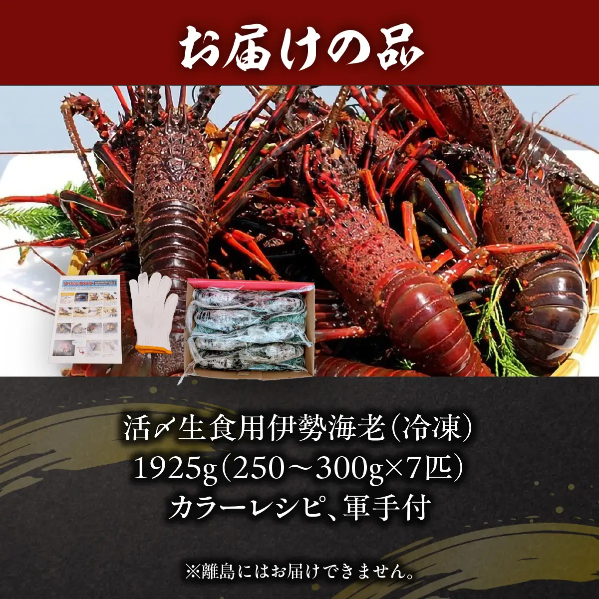 活〆生食用伊勢海老（冷凍）1925g（250～300g)×7匹 ONJB036