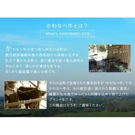 4等級以上!鹿児島県産黒毛和牛ヒレステーキ2枚【配送不可地域：離島】【1185784】