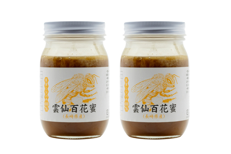 AJ446 はちみつ 国産 百花蜜 500g 2個 日本ミツバチ 純粋 100%