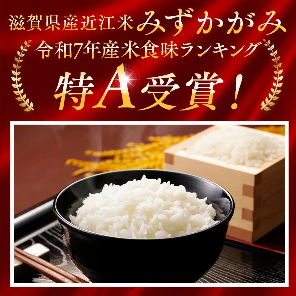 【令和7年産】近江米みずかがみ白米5kg