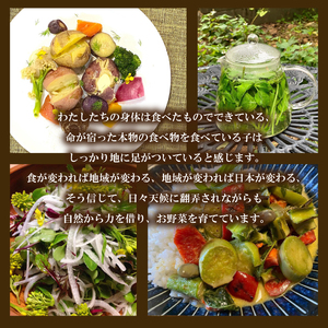 【2027年1月以降順次発送】じゃがいも 10kg デストロイヤー 野菜 農家直送 季節限定 芋 いも下関 IN103