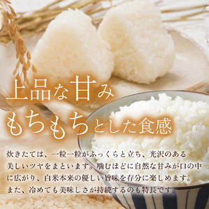 【在庫限定】令和7年産米 きぬむすめ 10kg （大上農園）数量限定 米 白米 きぬむすめ