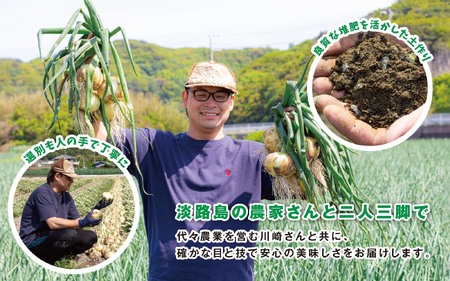 海月館 自社農場栽培！淡路島産 玉ねぎ 3kg