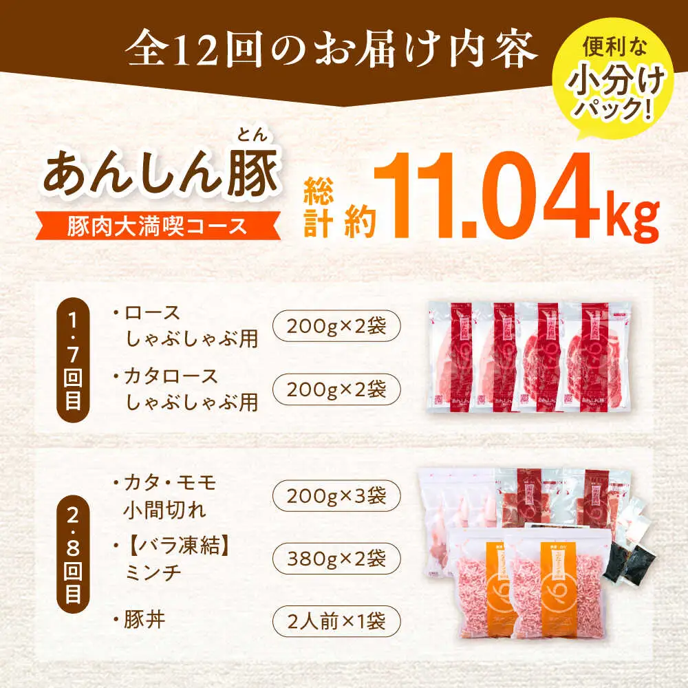 【12回定期便】豚肉大満喫コース 計11.04kg 藤井ファーム[AWAF074]豚肉セット
