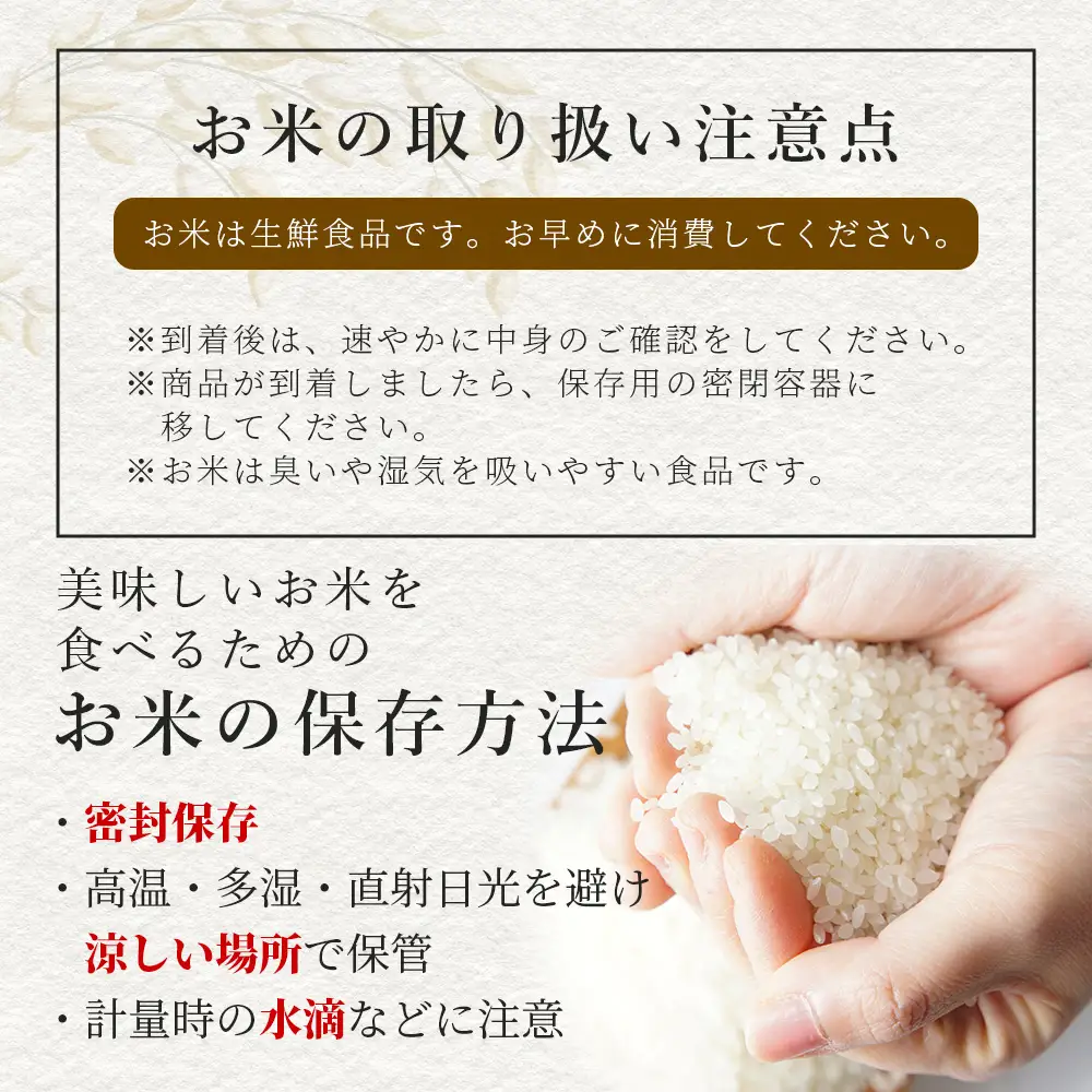 【令和7年度産 米】球磨産 くまさんの輝き 精米 2kg 白米 お米 熊本県 多良木町 036-0201
