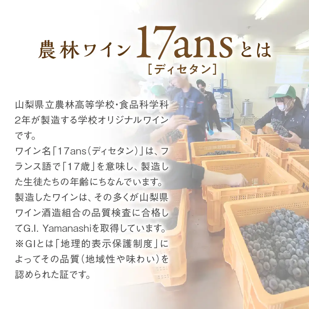 赤白ワイン 2本セット 農林高校ワイン 2024ヴィンテージ定番 