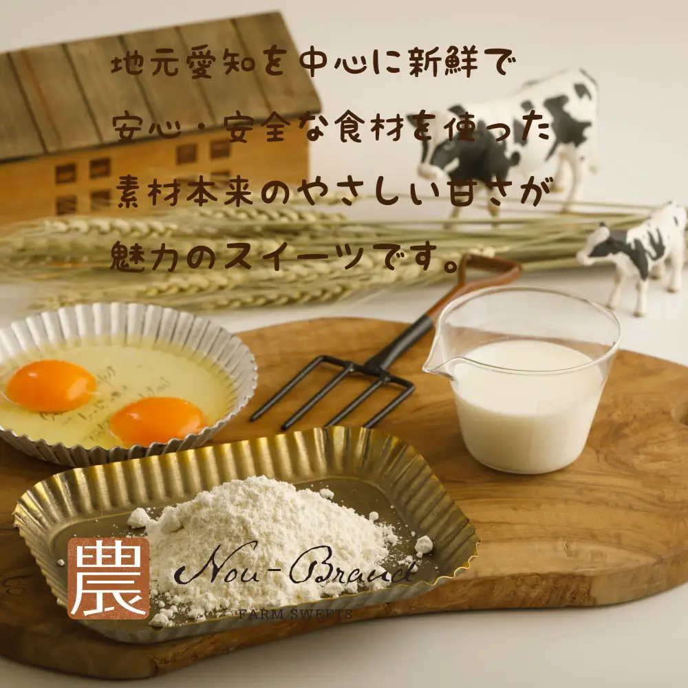 名古屋コーチン卵　カステラ（10個入り）