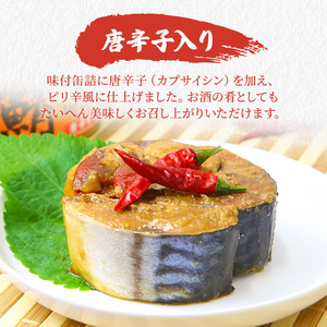 サバ缶 3種12缶 缶詰 ごはんのお供 常温保存 備蓄 サバ缶