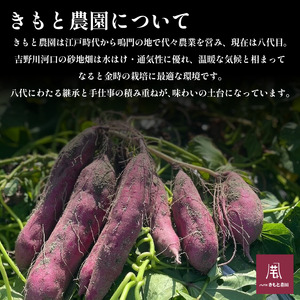 なると金時 5kg Mサイズ さつまいも なると金時