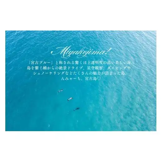 宮古島市に泊まるふるさと納税旅行クーポン【6,000円分】（NK02）