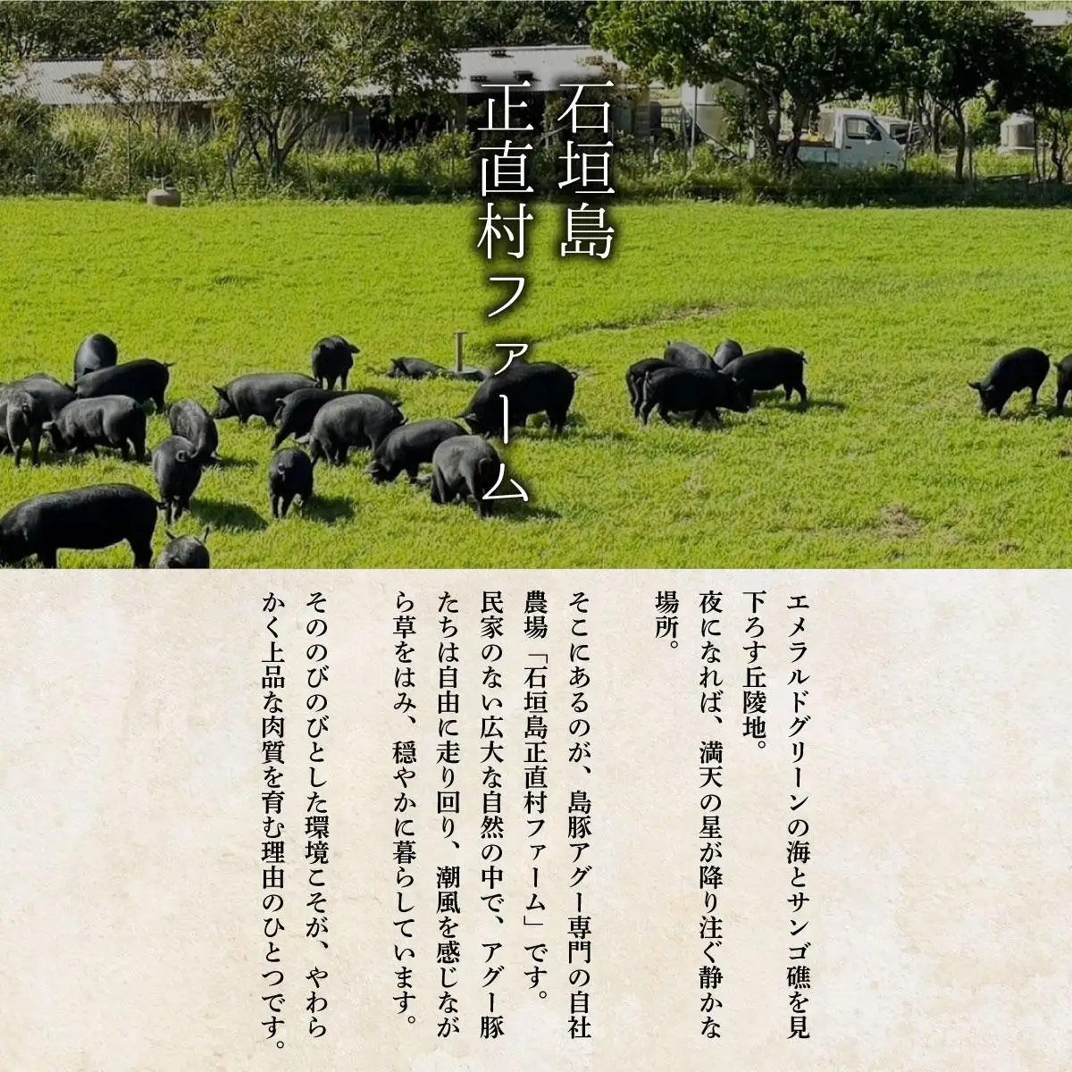 満天アグー ローストポーク 300g ウインナー 200g×2