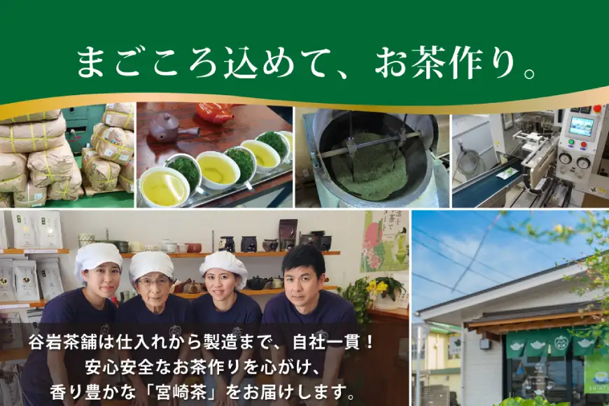 お茶 ティーバッグ 特撰 みやざき煎茶 紐付き 5袋 セット