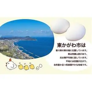 東かがわ市のちょこっと食卓応援品「鶏卵Mサイズ（6個×2P）R7年産虹のきらめき（精米）2kg」
