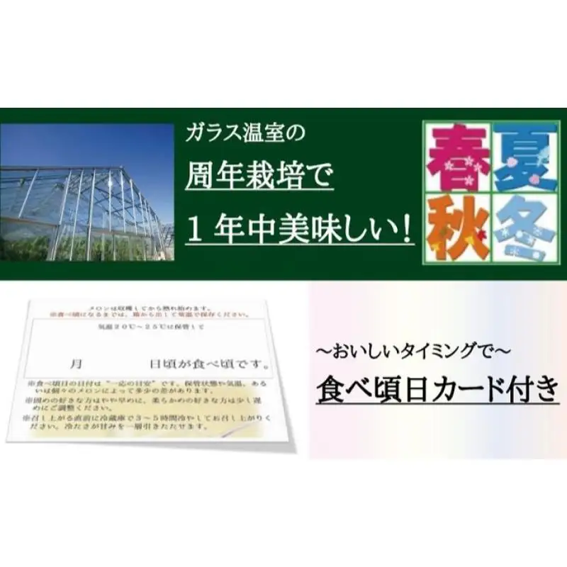 【メロン定期便】クラウンメロン 『山等級』6玉詰【 12か月連続】 山級 フルーツ 果物 12ヶ月 