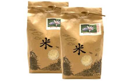 ≪数量限定≫  令和7年産 『 もち米 』 ４ｋｇ（ 2kg × 2袋 ）