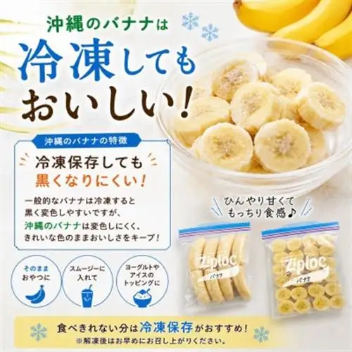 JAおきなわが厳選!季節の沖縄県産バナナ約2kg(旬の品種おまかせ)【1694030】