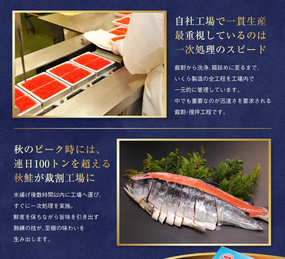 【 北海道 産 】 マルア阿部商店特選 塩 いくら 500 g ふるさと納税 イクラ 魚卵 