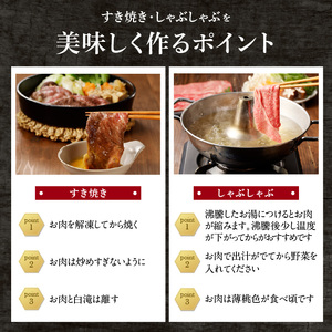 【3回定期便】佐賀牛霜降り・赤身スライス食べ比べ 1.2kg ／ 牛肉 定期便【Z123_03】