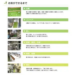 希少な香川のお茶！ 知る人ぞ知る銘茶【高瀬茶】旅茶(緑茶）（20ｇ）（三-82）