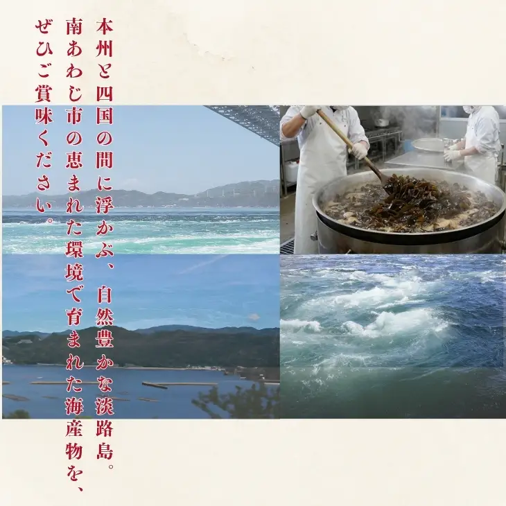 「五つ星ひょうご」選定商品！わかめ煮　10袋