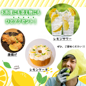 【期間限定】檸檬 マイヤーレモン 2kg  檸檬