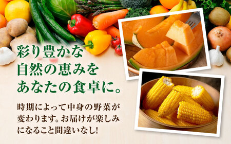 【2026年9月上旬以降順次発送】朝採れ 旬の野菜 10品目 野菜 先行予約 北海道 産地直送 旬 詰合せ [AJAH032]