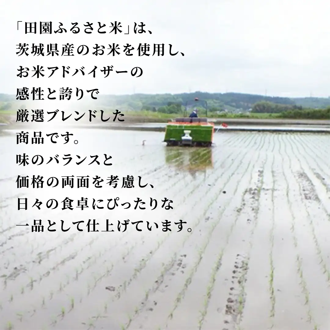 ＼最短3営業日以内出荷／ 田園ふるさと米 精米 5kg  令和7年産 精米 米 コメ こめ 限定 国産 美味しい お米 おこめ おコメ 茨城県産 (AX014)