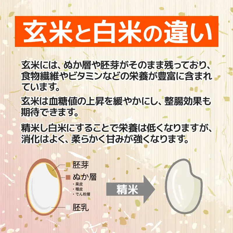 令和7年産 新之助 玄米 30kg （精米サービス可能／小分け不可）【新潟県産 農家直送 新之助 2025年産 プロが認めた美味しいお米 百姓や伝六 美味しい 農家自慢 お米 白米 おにぎり お弁当 新潟米】