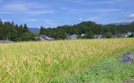 令和7年度 山形県戸沢村産 はえぬき 10kg(5kg×2) 精米 白米 お米 米 米米 新米 ご飯 ごはん ブランド米 銘柄米 2025年産 令和7年度産 家庭用 自宅用 贈答用 お取り寄せ 食品 山形県 戸沢村 F7W-0231