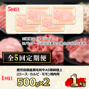 ＜定期便・連続全5回＞鹿児島県産 黒毛和牛 A5等級 牛づくし定期便(5ヶ月連続・合計約5.2kg) 国産 牛肉 ロース モモ カルビ 切り落とし サーロインステーキ サイコロステーキ 定期便 鹿児島 焼肉 しゃぶしゃぶ すき焼き 【前田畜産たかしや】【2401710b】