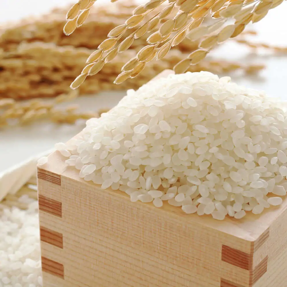 【令和7年産】果物屋さんが選んだ米 夢つくし 10kg 米 白米 お米 ブランド米[ABET009]