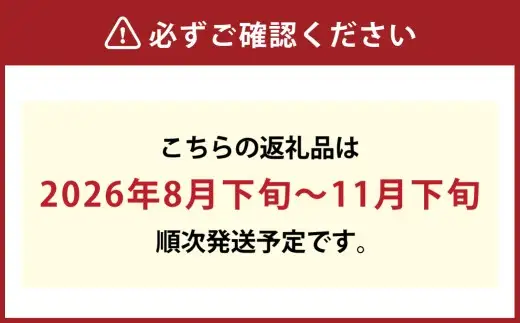 シャインマスカット 晴王 約500g×2房 計約1kg 【2026年8月下旬～11月下旬迄発送】 岡山 種無し 種なし マスカット 果物 くだもの フルーツ ぶどう ブドウ 葡萄 冷蔵