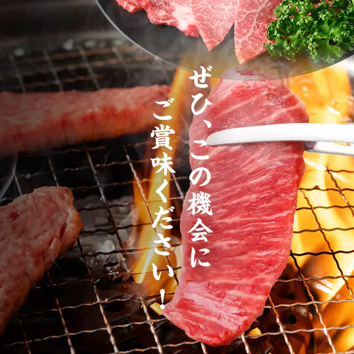 鹿児島県産黒毛和牛赤身ウデ焼肉 (計2kg・200g×10P)  黒毛和牛 国産 肉 牛肉 赤身 ウデ肉 鹿児島 小分け 焼き肉 炒め物 冷凍 b8-046