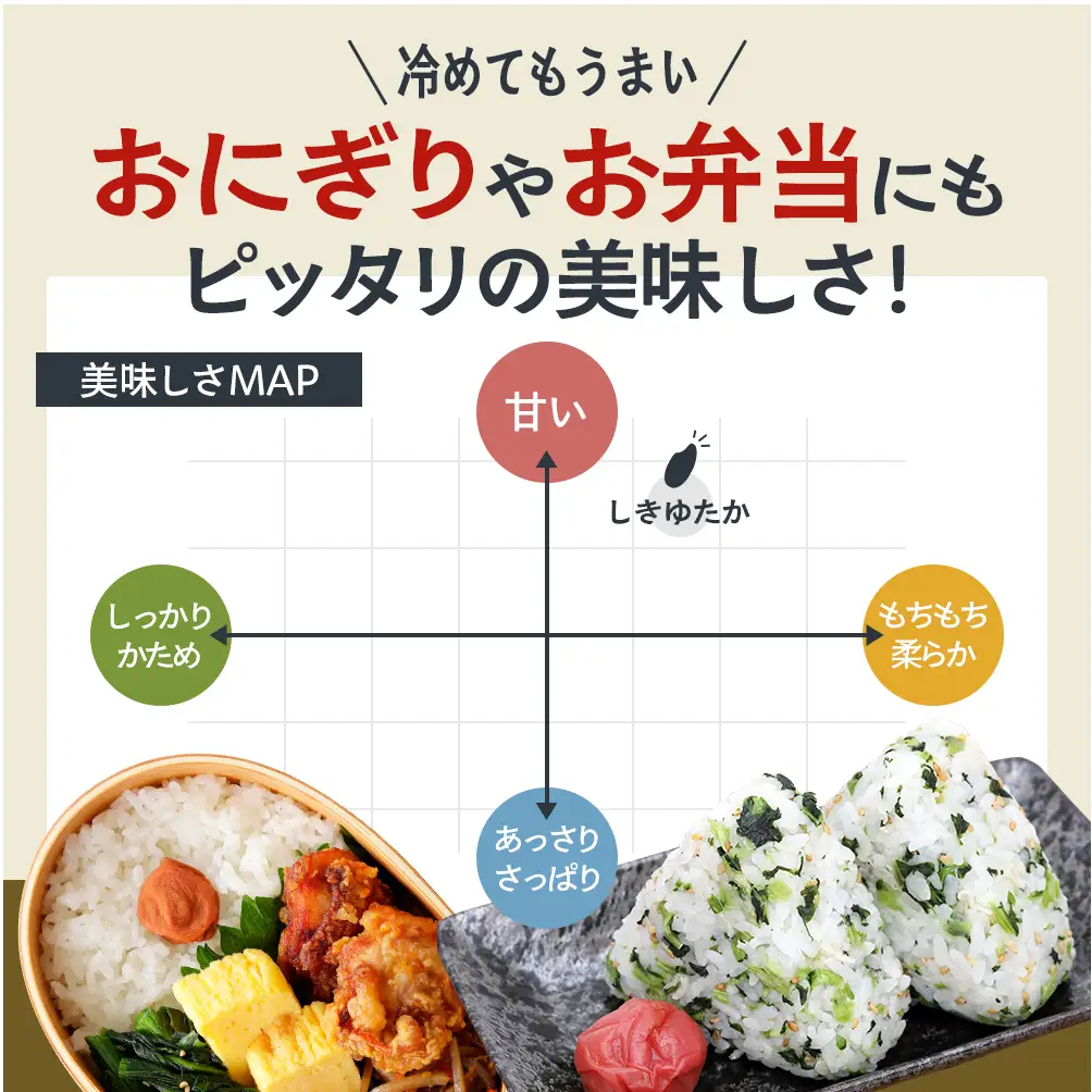 【令和8年産 先行受付】しきゆたか 白米 10kg