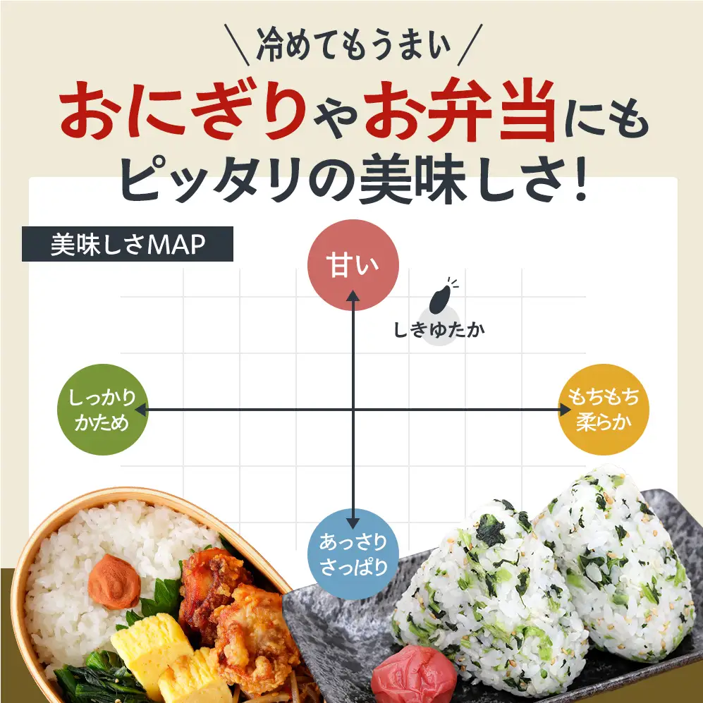 【令和8年産 先行受付】しきゆたか 白米 10kg《2026年11月発送》