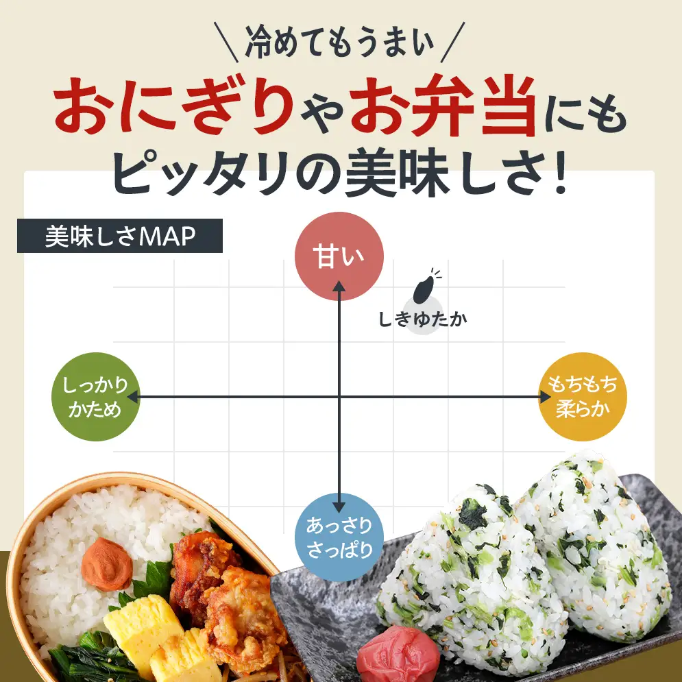 【令和8年産 先行受付】しきゆたか 白米 10kg《2026年12月発送》